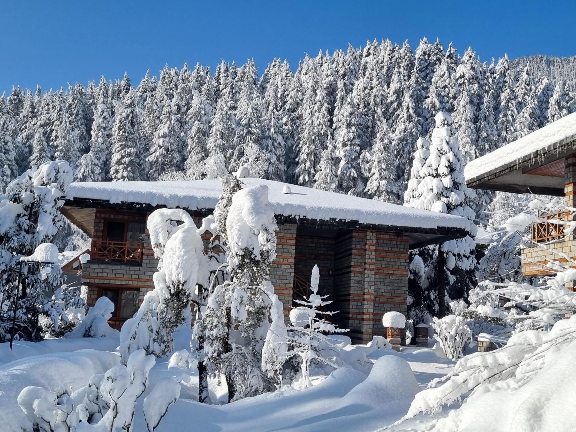Banon Resorts Manāli Extérieur photo